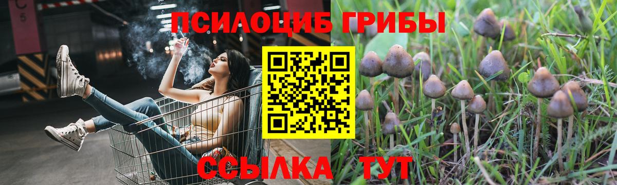 Псилоцибиновые грибы Cubensis  Вход с VPN  Новый Уренгой 